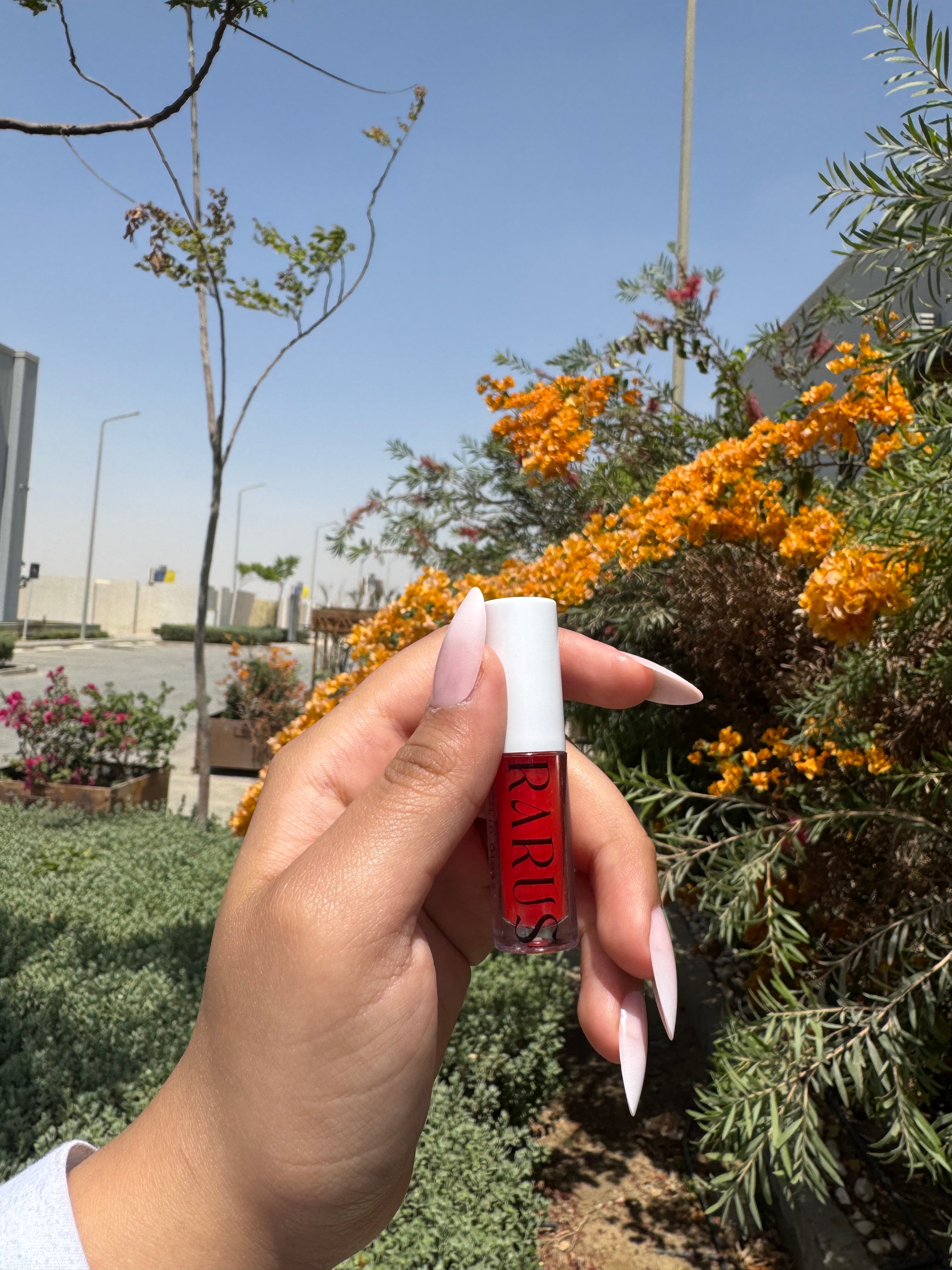 Mini Brush Lip gloss